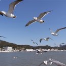 청솔불한증막 이미지