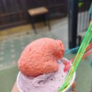 조선젤라또