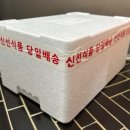 평동산단외로 이미지