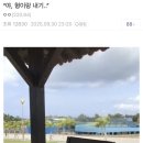 내기 이미지