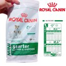 베이비독 이미지