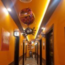 거북이 노래연습장 이미지