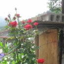 고자리마을회관 이미지