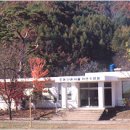 조동초등학교 이미지