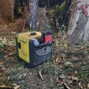 조안1리 이미지