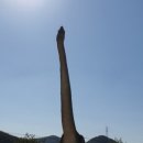 신성리 공룡발자국 이미지