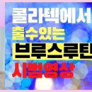 사교댄스(브루스_지루박) 초급 이미지