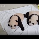 뿌빠엄마집