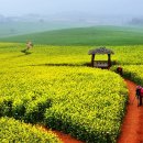 기타교실 (중급반) 이미지