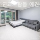 포천 자연과사람들 애견동반펜션 이미지