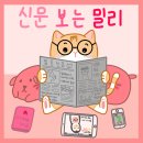 루미큐브 하는 한국인들 특징 이미지