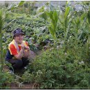 남진농장 이미지