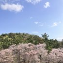 호텔여기어때 경주보문점 | 경북/경주]불국사•보문단지 근처 숙소추천.호텔 여기어때 경주보문점.아버지와 함께.(내돈내산&amp;솔직후기).