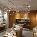 포포타운 이미지