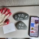 인어루트 이미지