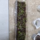 정식농장 이미지