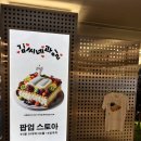 옷마당 | 김씨네과일 티셔츠 스타필드 김씨네 과일마당 팝업 후기(사이즈, 커스텀, 강아지옷, 기간)