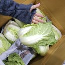 노랑제주 이미지