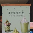 폴바셋현대프리미엄아울렛남양주점