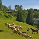 귀환농장 이미지