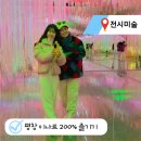 집중력UP 바둑교실 | 평창 이나트 뮤지엄 입장료 할인 주차 및 솔직 후기