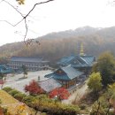법륜사 Daum카페