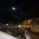 용두목장 | 용두띠용미 9,10,11月_1