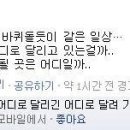 앤상사