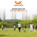 50k 반려견 유치원 이미지