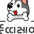 뚱띠레이 이미지