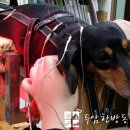 두암한방병원 이미지