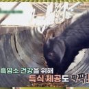 명심축산 이미지