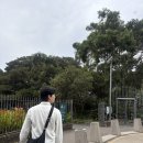 350만원으로 시드니 여행가기 2탄 - 로얄 보타닉 가든 피크닉, 퀸 빅토리아 빌딩, 본다이비치, 달링하버