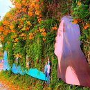 동일반점 이미지