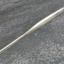 아이디어안경원(부산경성대점) 이미지