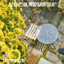 흥남동 행정복지센터 본관2층 | 창원 진해 목향장미 명소 추천｜송학커피·가고파갤러리·보타닉뮤지엄 지금 가기 좋은 봄꽃 코스