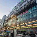 일출횟집 | 속초 맛집 대포항 대게 일출횟집 본점 현지인 맛집 후기