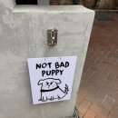 클라우드커피숍 | [한남동카페추천] 낫배드커피 한남 - 한남동 대형 카페 (3월2일기준으로 실내애견동반안됨)