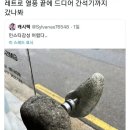 점점 더 진화하는 인스타 감성 카페 이미지