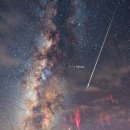 GOGO SWIMMING 이미지