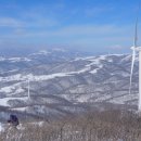 혈동목장 이미지