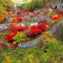 오색비단 - 양산시 양산역7길 14 | 오색비단