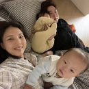 하귤과보리 이미지