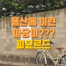 용산 삼각지 카페 피요르드 | 마당 넓은 야외 테라스, 초코 바나나 케이크 후기