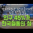 현재의 현 이미지