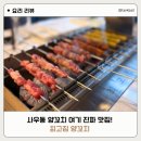 돌문로 | 사우동양꼬치 제대로 즐긴 김포사우동맛집 최고집양꼬치 후기