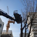 영등포좋은나무 이미지