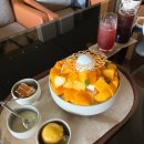 기운 받으러 왔어요! 그랜드 하얏트 서울 갤러리 카페 망고빙수 후기