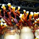 영지농장 이미지