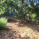 운암리농장 이미지